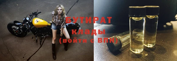 индика Баксан