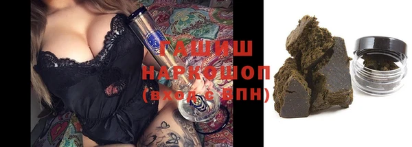 индика Баксан