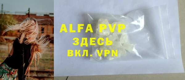 индика Баксан