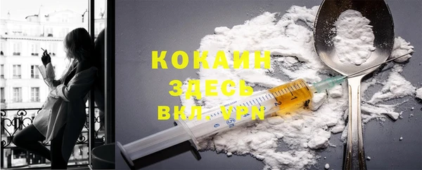 индика Баксан