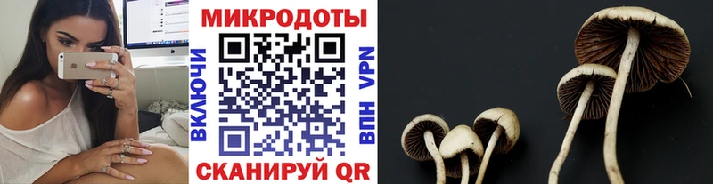 Псилоцибиновые грибы мицелий  Новый Уренгой 