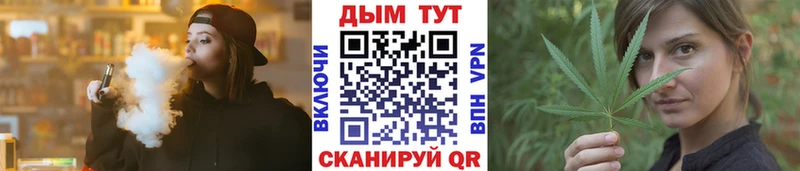Конопля гибрид Новый Уренгой